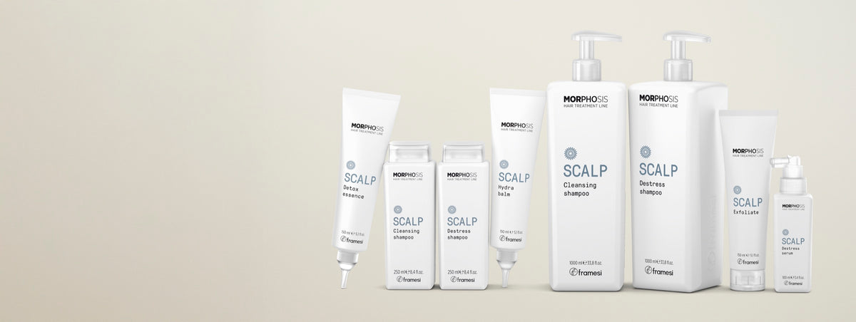 Línea Morphosis Scalp: envases de la familia sobre fondo neutro